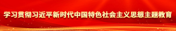 我日女人麻B学习贯彻习近平新时代中国特色社会主义思想主题教育